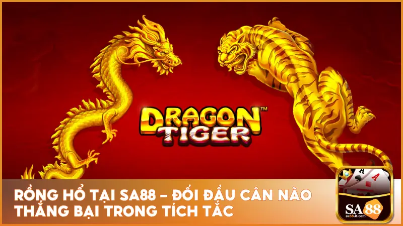 Rồng Hổ Tại Sa88 - Đối Đầu Cân Não Thắng Bại Trong Tích Tắc 5 Rồng Hổ Tại sa88 - Đối Đầu Cân Não Thắng Bại Trong Tích Tắc