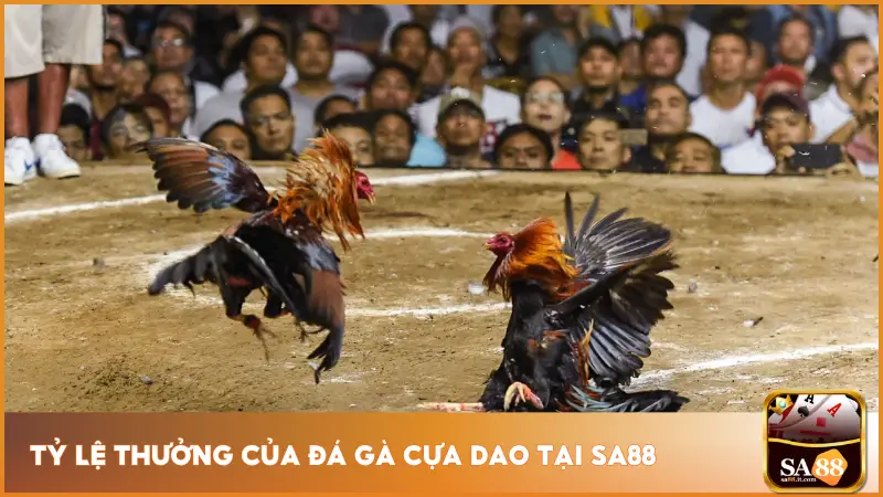 Đá Gà Cựa Dao - Thần Kê Xuất Chiến, Cược Lộc Về Tay 4 Hệ thống cá cược đá gà được thiết kế linh hoạt với nhiều lựa chọn tỷ lệ rõ ràng